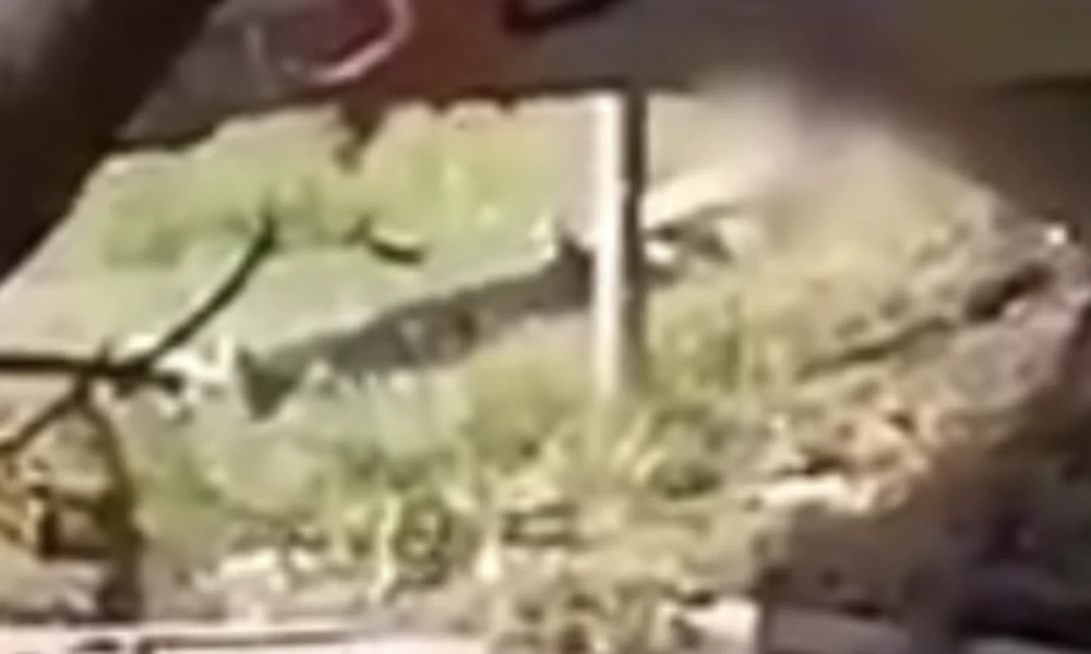 Τρίκαλα: Δεν σταμάτησε να… αυνανίζεται ακόμα και όταν ήρθε η ΔΙΑΣ!